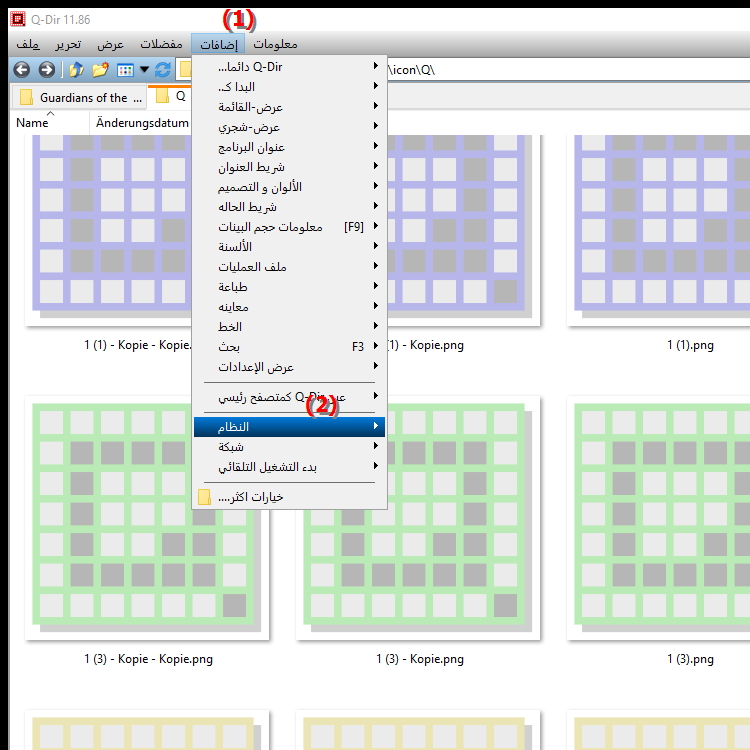 ما هي إعدادات النظام التي يمكنني ضبطها في Quad File Explorer لنظام التشغيل Windows
